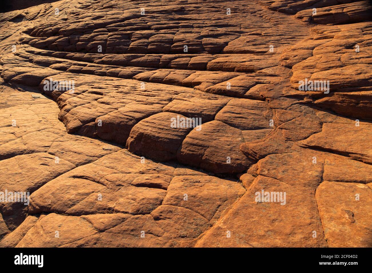 Petrified Dunes au parc national de Snow Canyon, Ivins, Utah, États-Unis Banque D'Images
