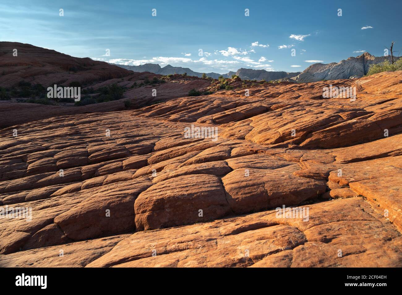 Petrified Dunes au parc national de Snow Canyon, Ivins, Utah, États-Unis Banque D'Images