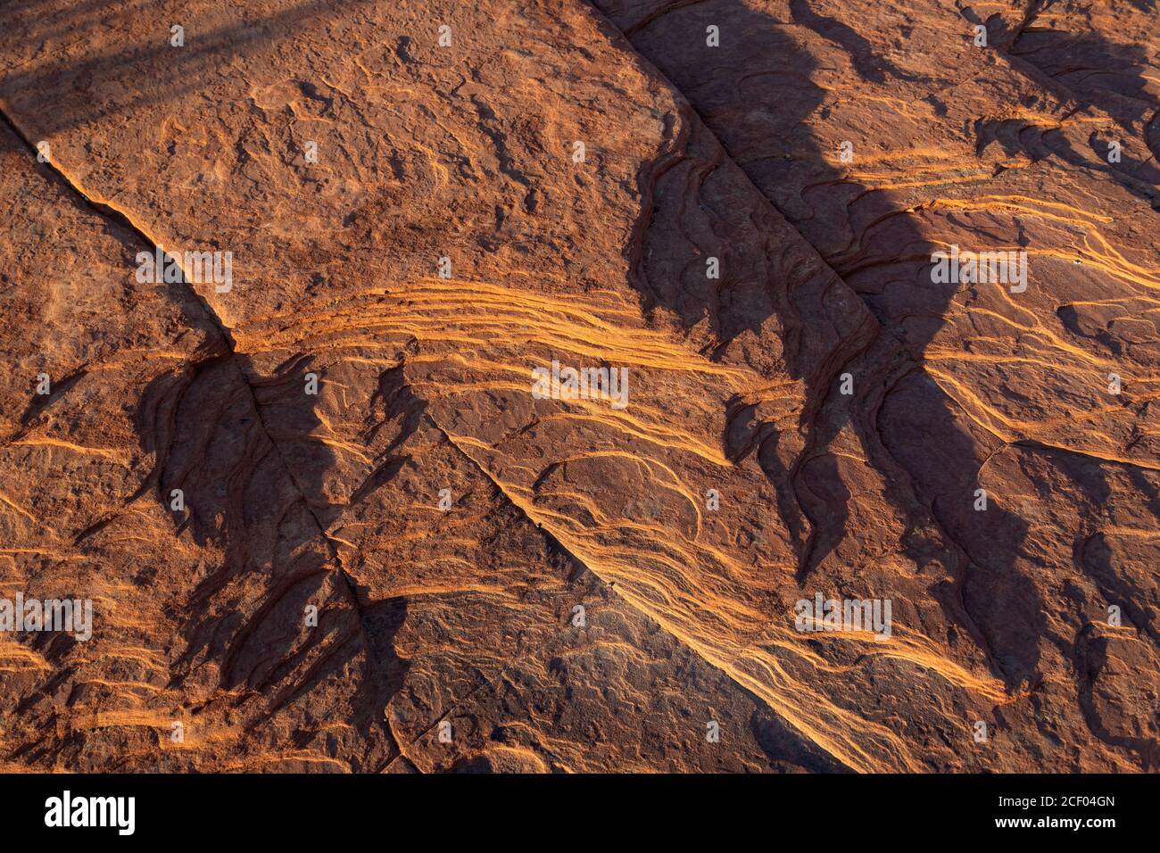 Petrified Dunes au parc national de Snow Canyon, Ivins, Utah, États-Unis Banque D'Images