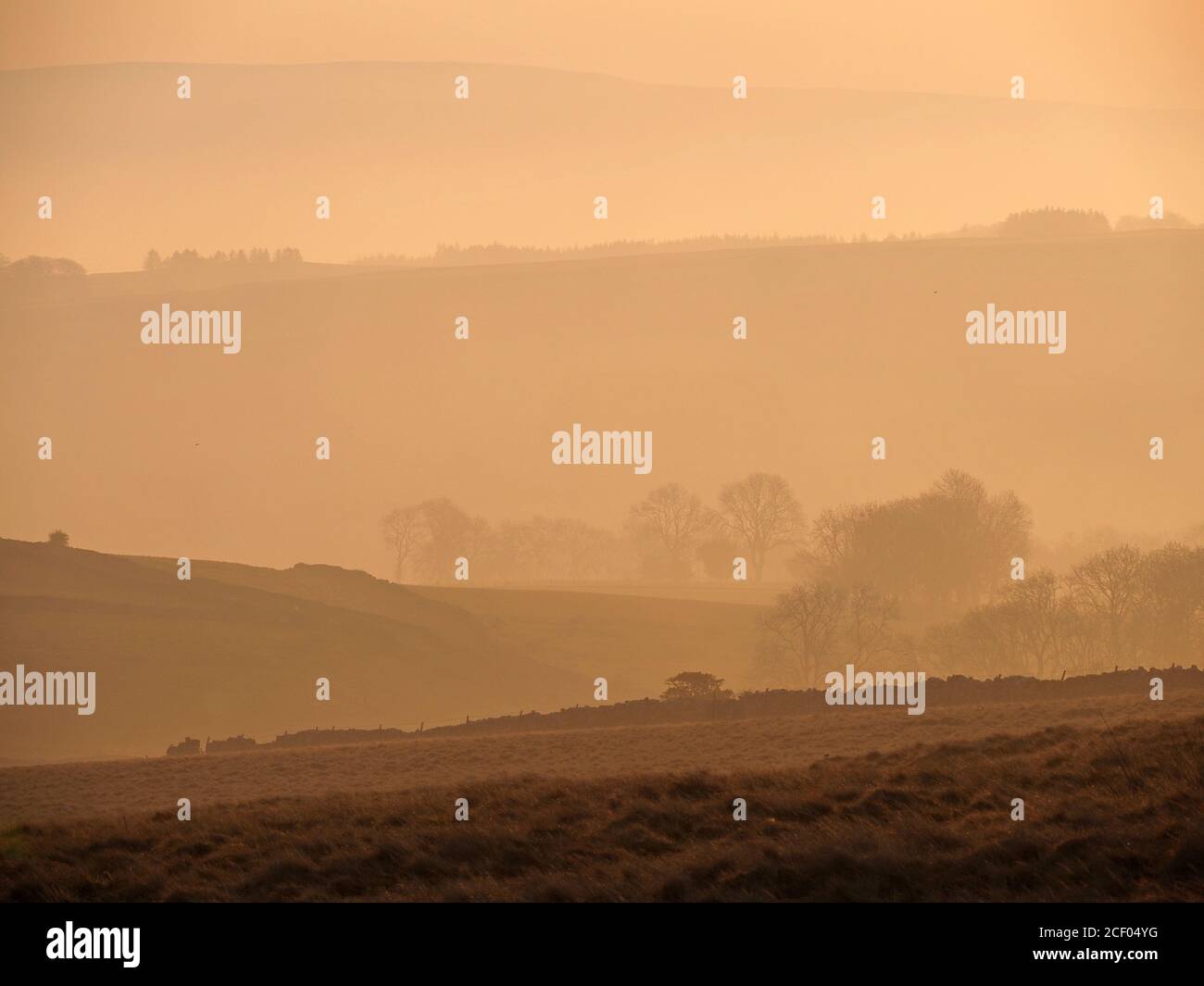 Paysage de Cumbrian avec des collines en retrait dans la lumière brumeuse de l'aube ponctuée par des arbres dans la récession brumeuse dans la vallée d'Eden, Angleterre Royaume-Uni Banque D'Images