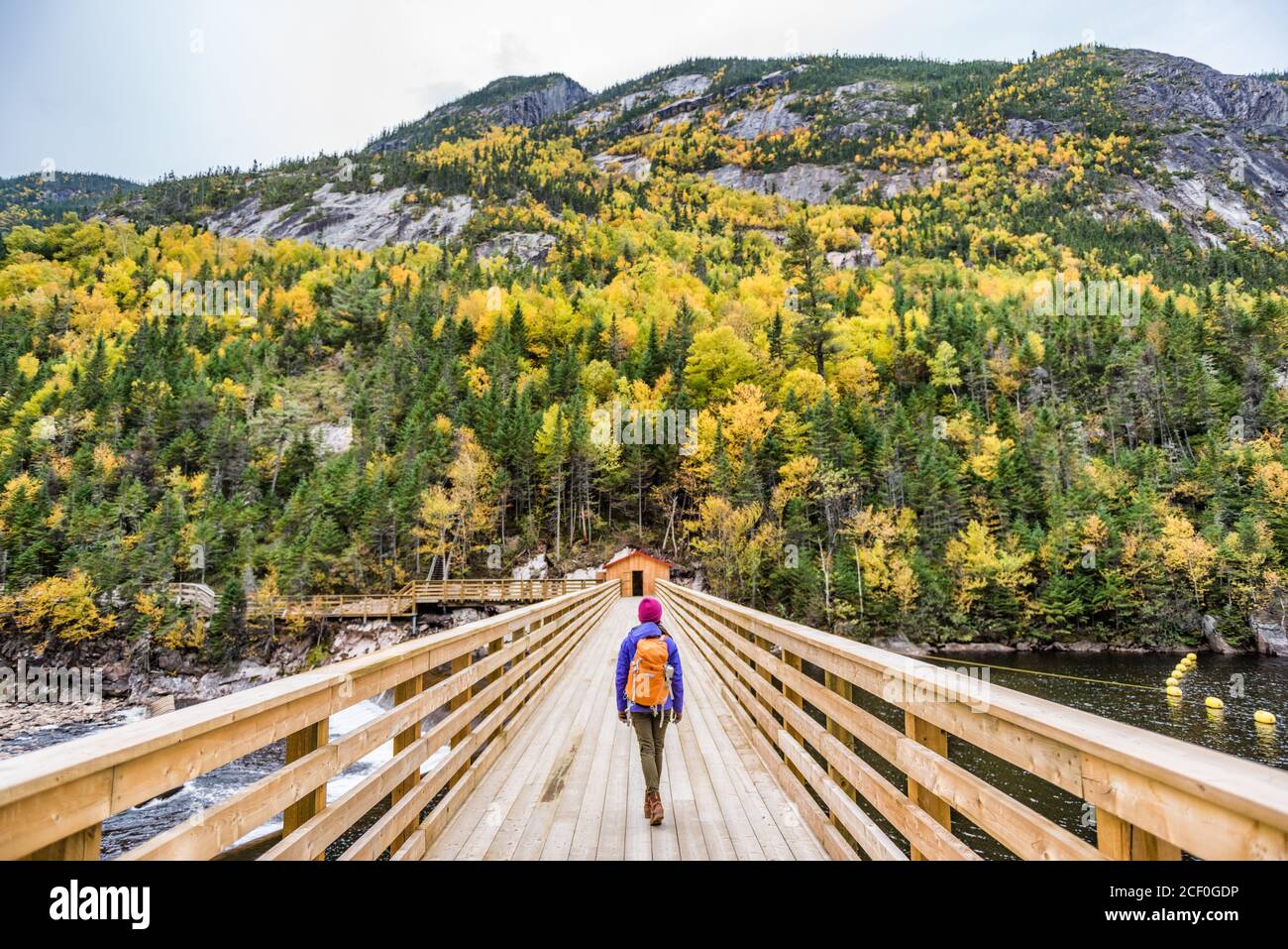 Randonnée femme marchant dans la forêt nature pont extérieur Banque D'Images