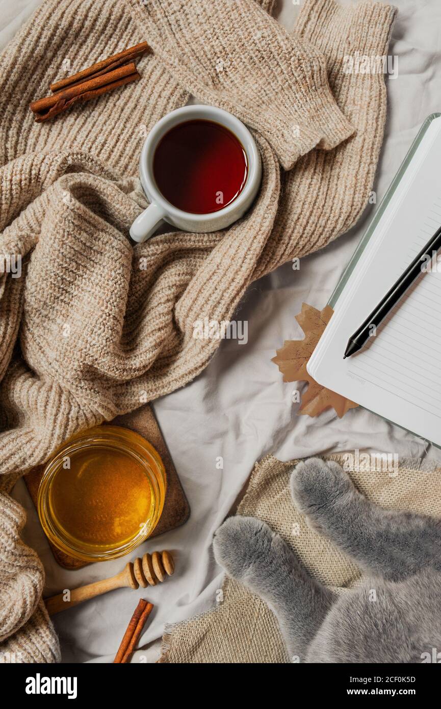 Pattes grises de chat, chandail chaud tricoté, tasse de thé, bâtons de cannelle, carnet avec draps propres et feuille d'automne. Image d'automne confortable Banque D'Images