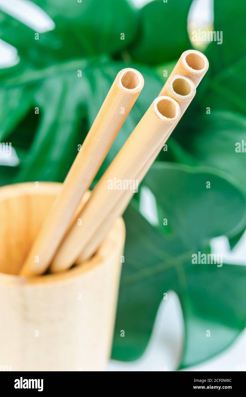 Gros plan sur les pailles en bambou avec la feuille verte. Le concept écologique du produit. Banque D'Images