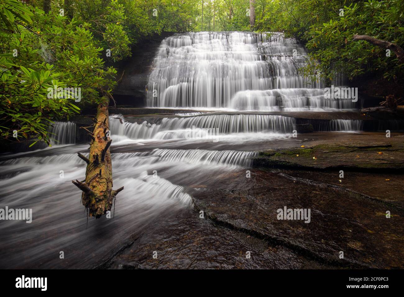 Chutes de Grogan Creek (ou chutes sur Grogan Creek) - sentier Butter Gap, forêt nationale de Pisgah, près de Brevard, Caroline du Nord, États-Unis Banque D'Images