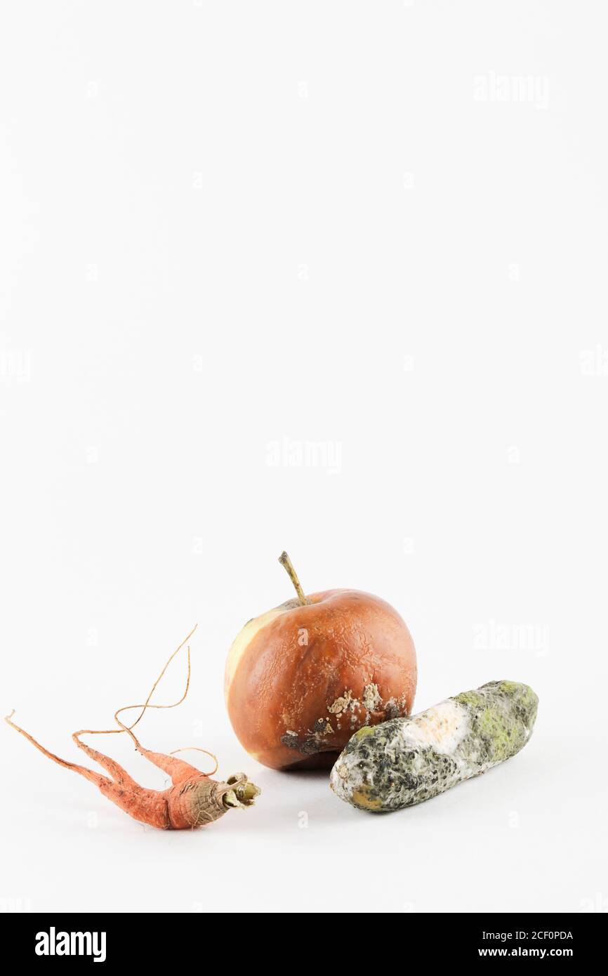 pomme pourrie, concombre, carotte sur fond blanc. problème de faim dans le monde. concept de surconsommation. vue de dessus espace de copie Banque D'Images