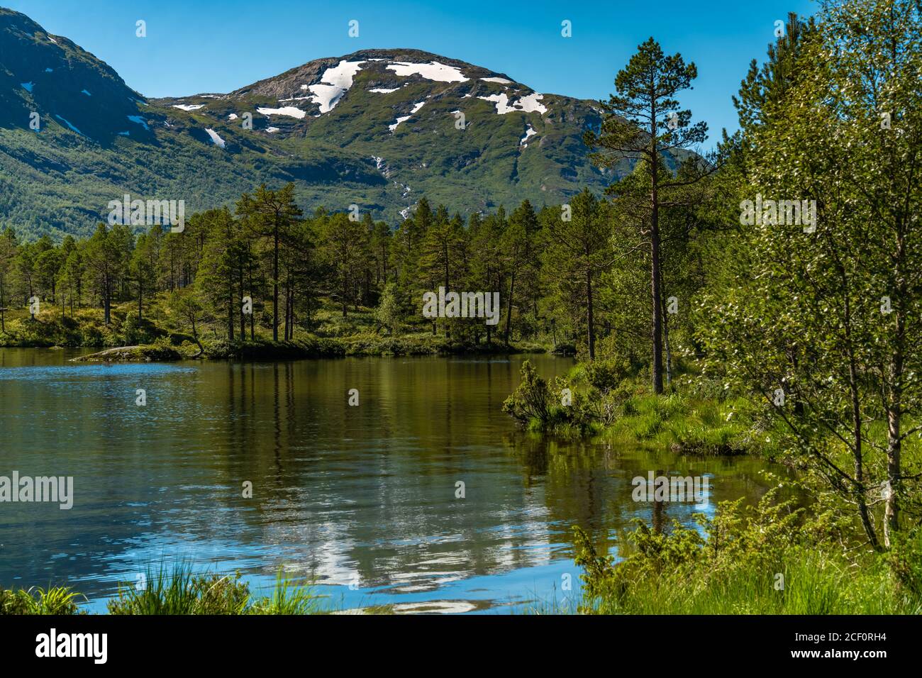 Paysage le long de la rivière Gaula le long de la route 13 près de Hov dans la région Sogn og Fjordane, Norvège. Banque D'Images