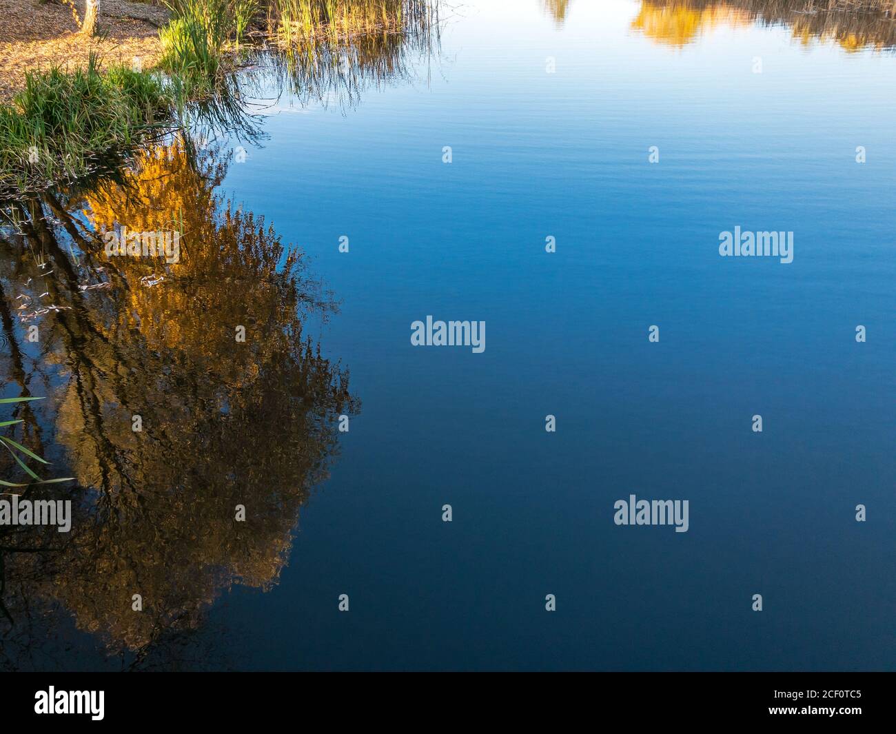 surface d'eau du lac forestier avec réflexions de ciel bleu Banque D'Images