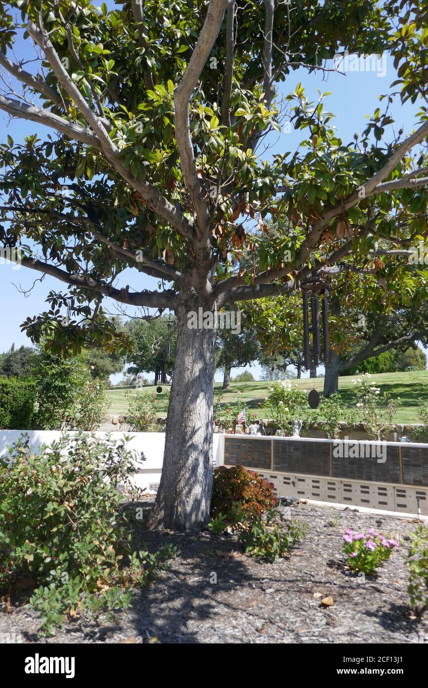 Westlake Village, Californie, États-Unis 2 septembre 2020 UNE vue générale de l'atmosphère de la tombe George O'Hanlon (non marquée, cendres dispersées ici) au Pierce Brothers Valley Oaks Memorial Park le 2 septembre 2020 à Westlake Village, Californie, États-Unis. Photo par Barry King/Alay stock photo Banque D'Images
