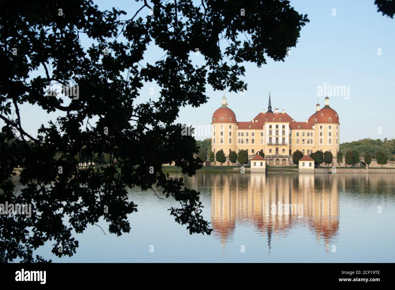 Moritzburg, Allemagne. 03ème septembre 2020. Les feuilles d'un chêne se démarquent comme une silhouette devant le château de Moritzburg, l'ancien pavillon de chasse des Wettins. Credit: Sebastian Kahnert/dpa-Zentralbild/ZB/dpa/Alay Live News Banque D'Images