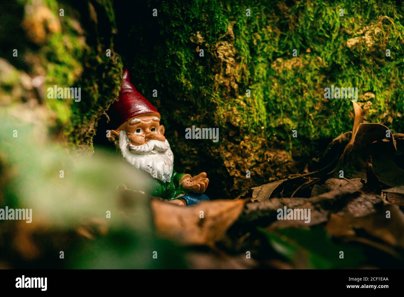 Petit gnome coloré dans le jardin Banque D'Images
