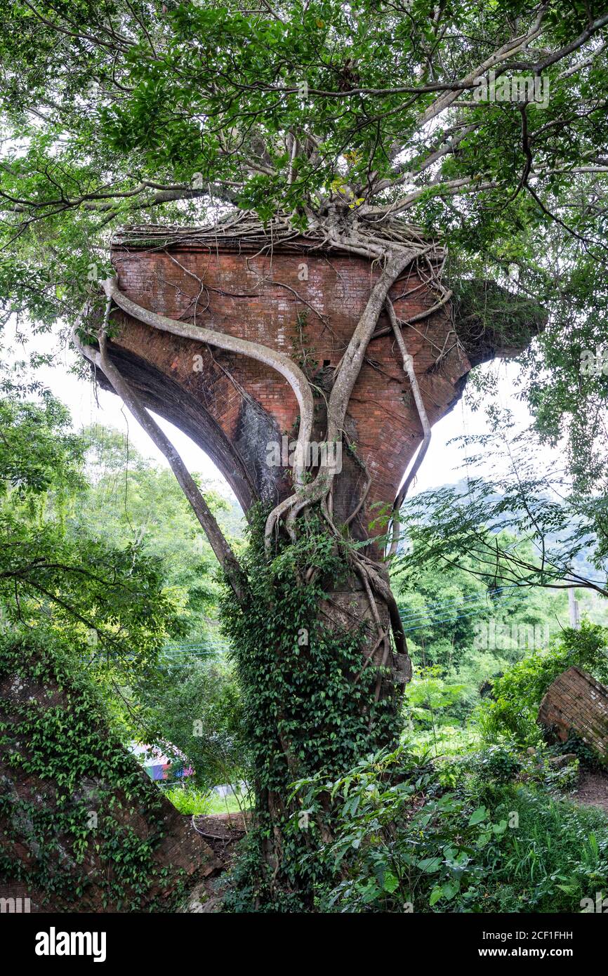 Pont de Longteng Broken, pont de Yutengping dans le village de Longteng, canton de Sanyi, comté de Miaoli, Taïwan, une destination de voyage célèbre, style de vie. Banque D'Images