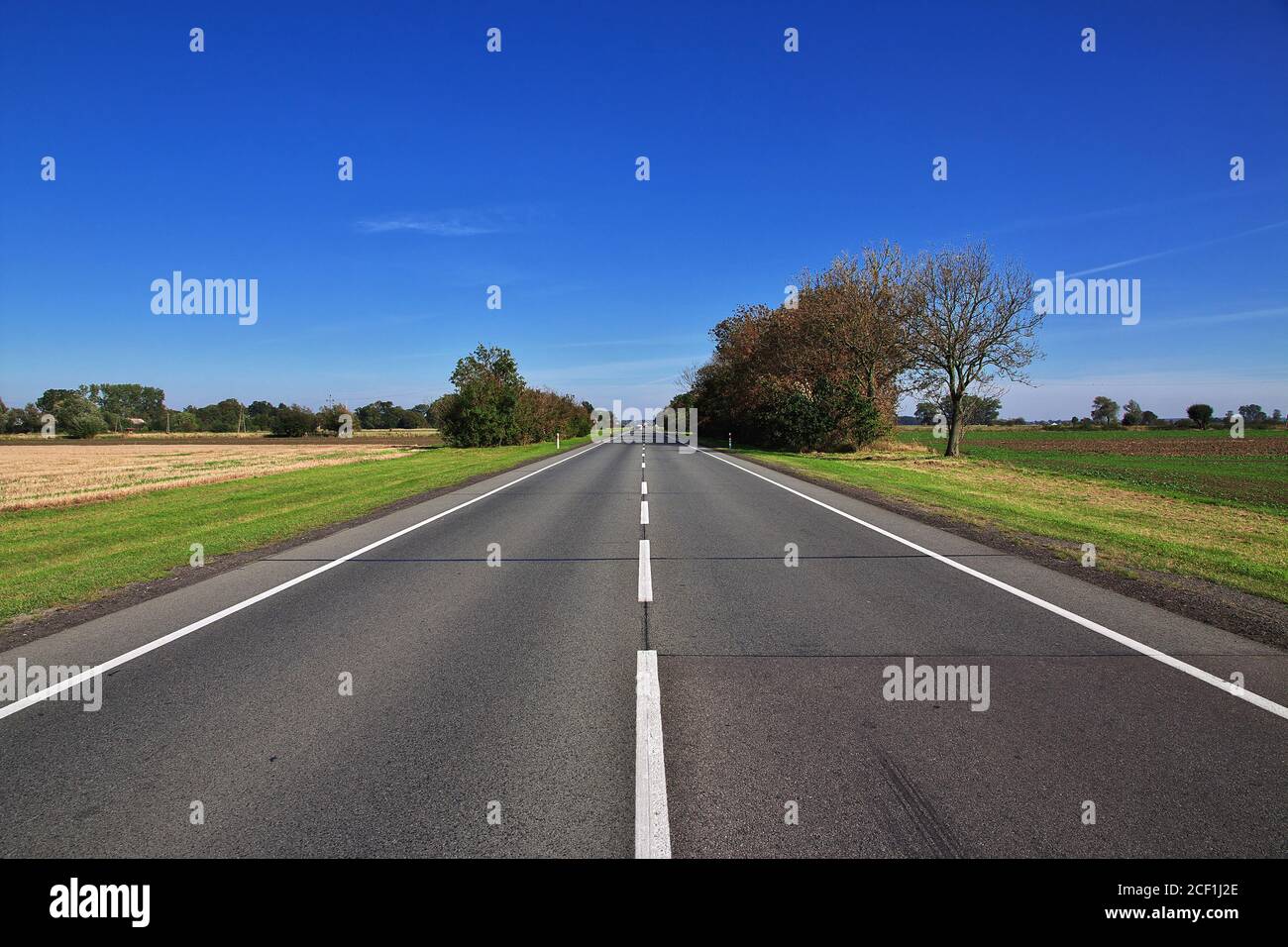 La route vers Ludwigsburg, Allemagne Banque D'Images