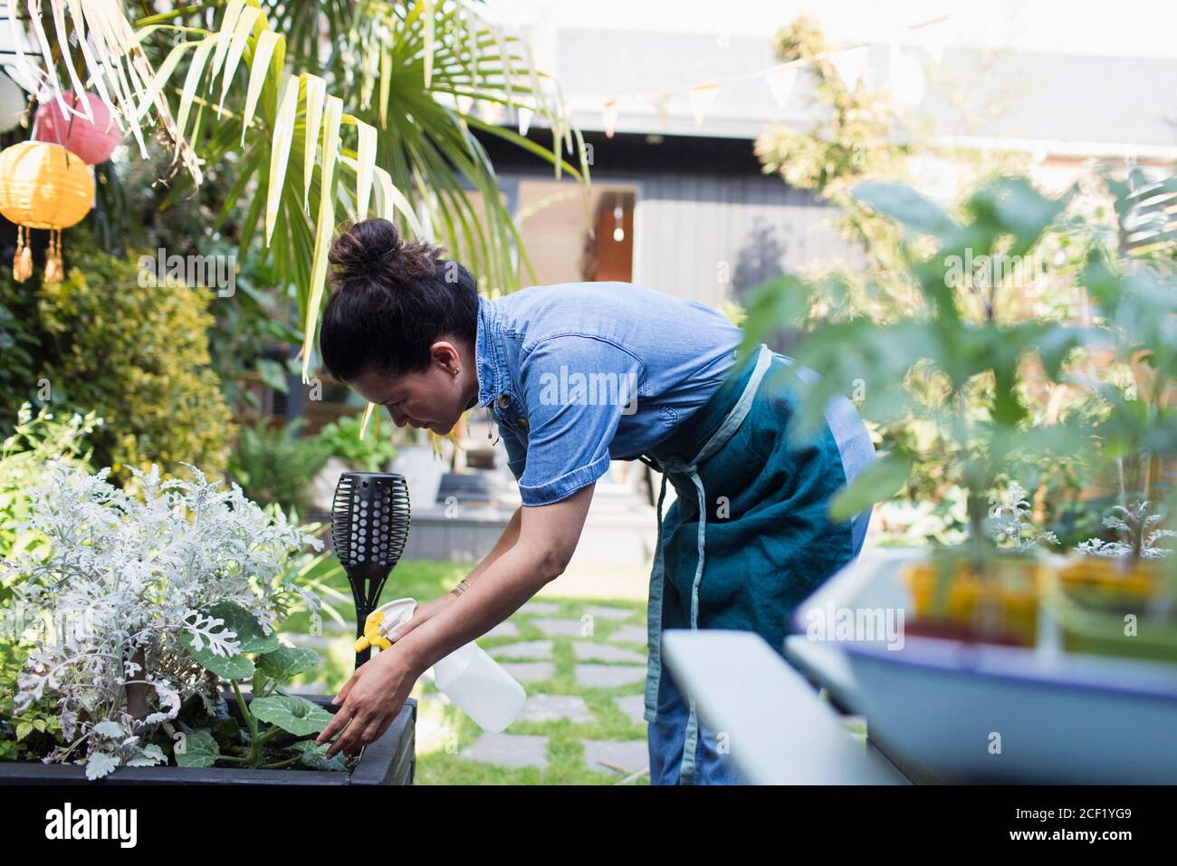 Femme arrosoir des plantes avec un vaporisateur dans le jardin Banque D'Images