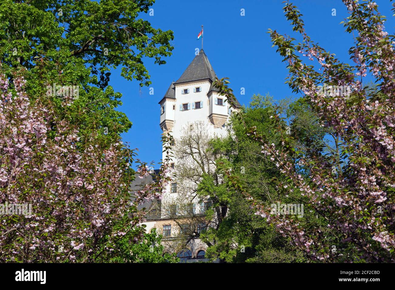 L'Europe, le Luxembourg, Colmar-Berg, le château de Berg (résidence principale du Grand-Duc de Luxembourg) entouré de magnifiques jardins. Banque D'Images