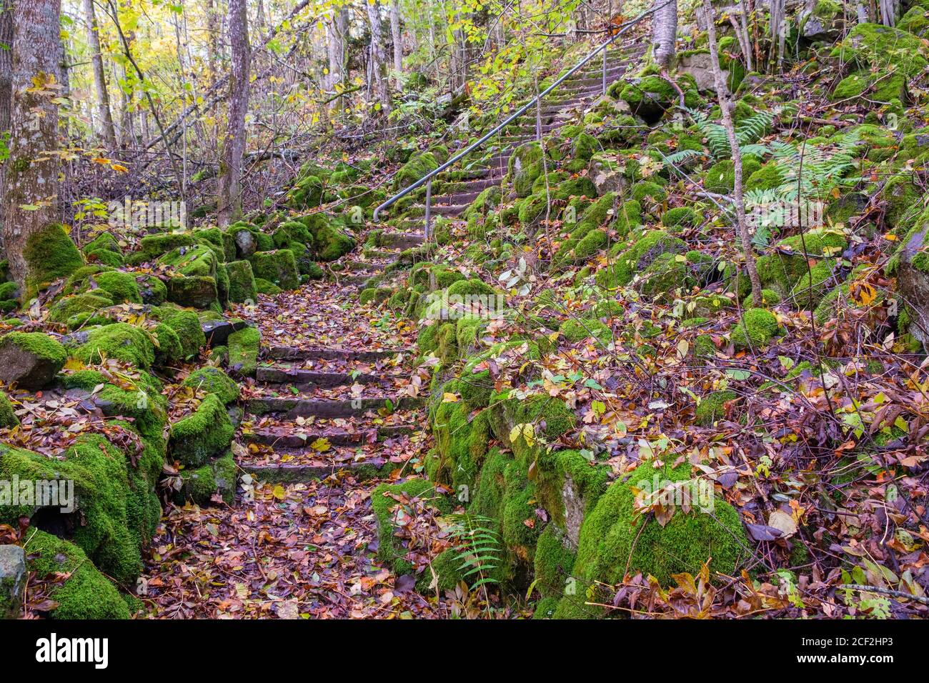 Sentier avec des rochers recouverts de mousse et un escalier Banque D'Images