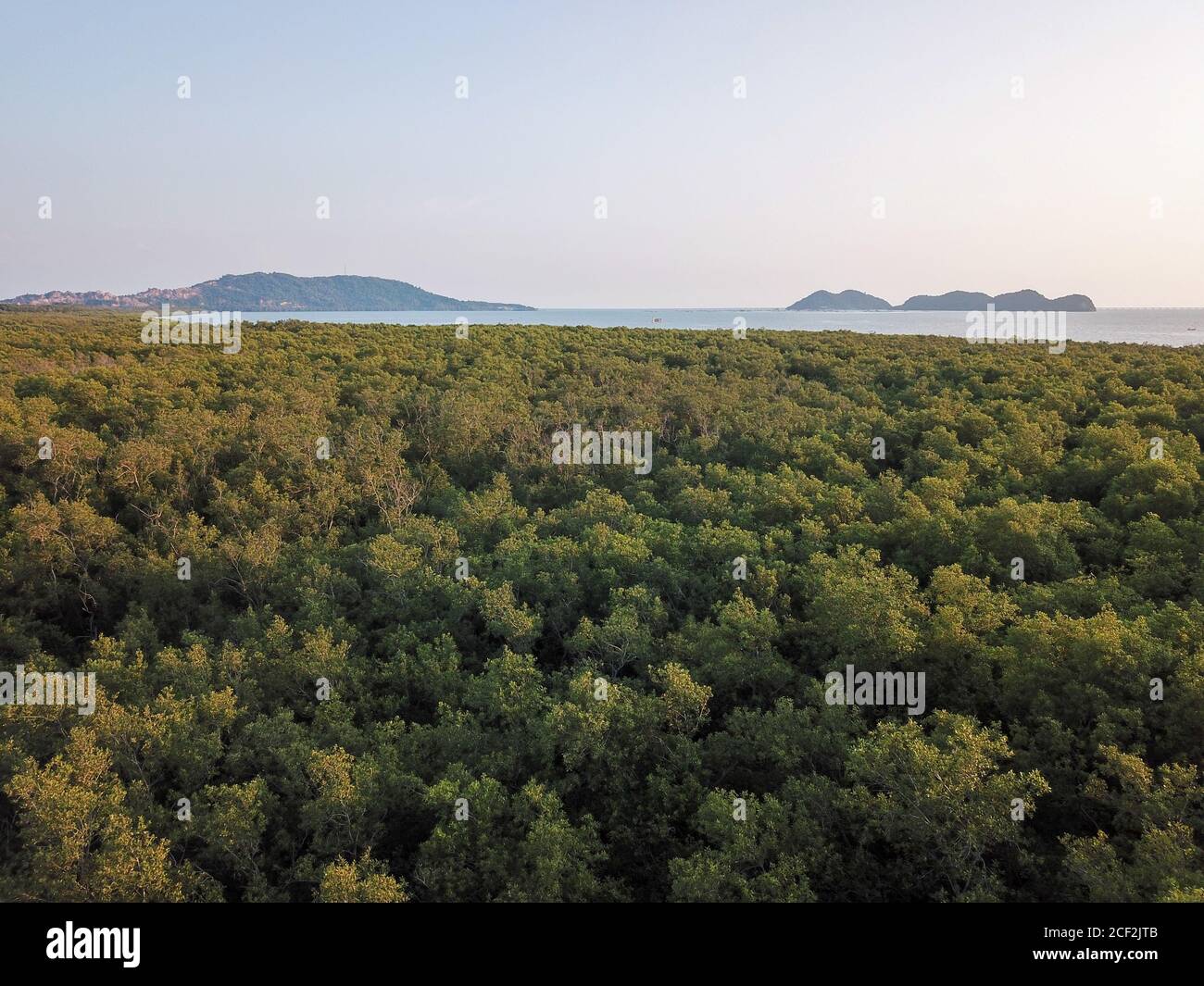 Vue aérienne de la jungle des mangroves à Sungai Sempiang, Pulau Pinang. L'arrière est l'île. Malaisie village des Malais. Banque D'Images