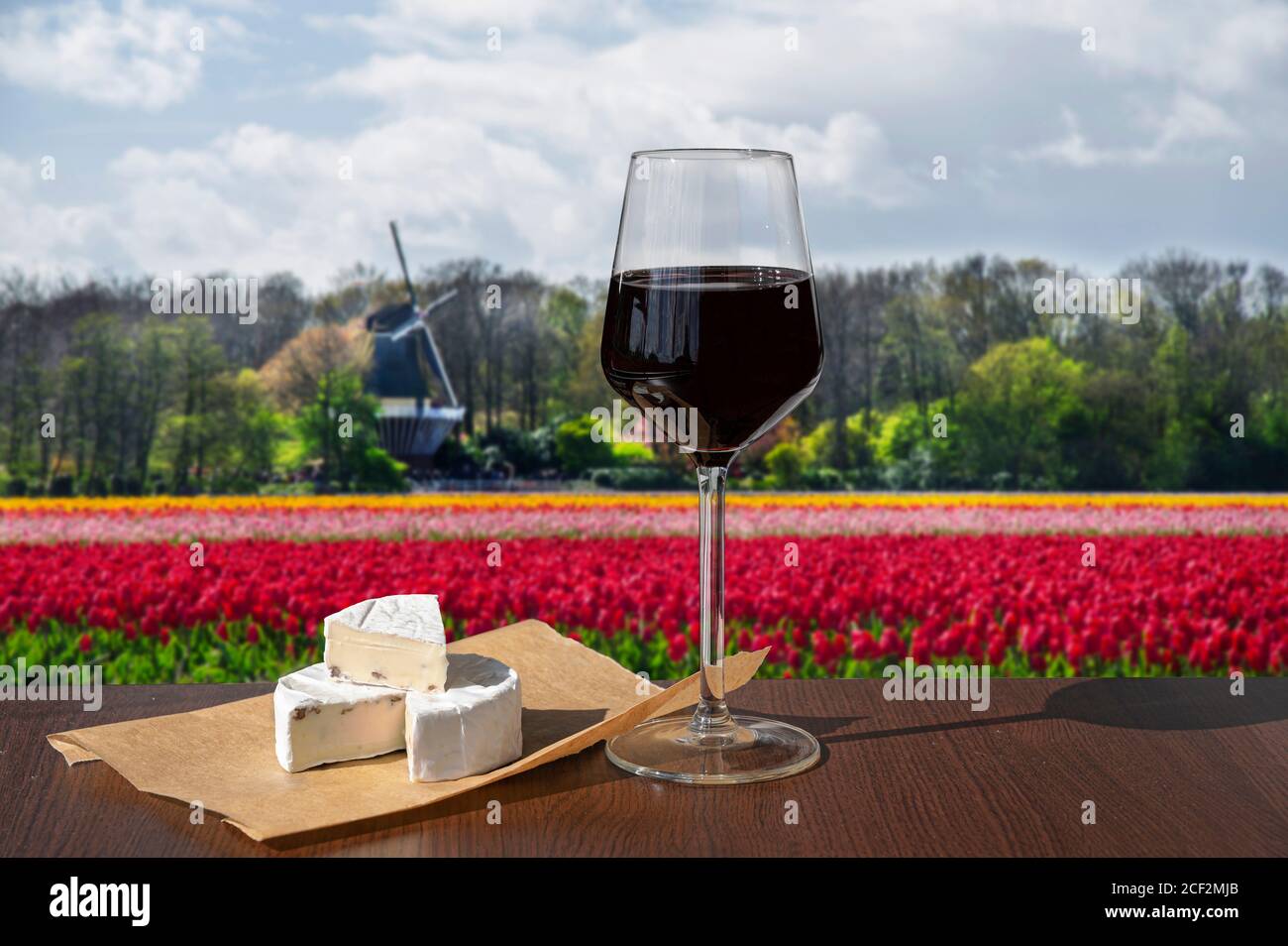 Verre de vin rouge au brie contre le champ de tulipes et le moulin à vent aux pays-Bas. Banque D'Images
