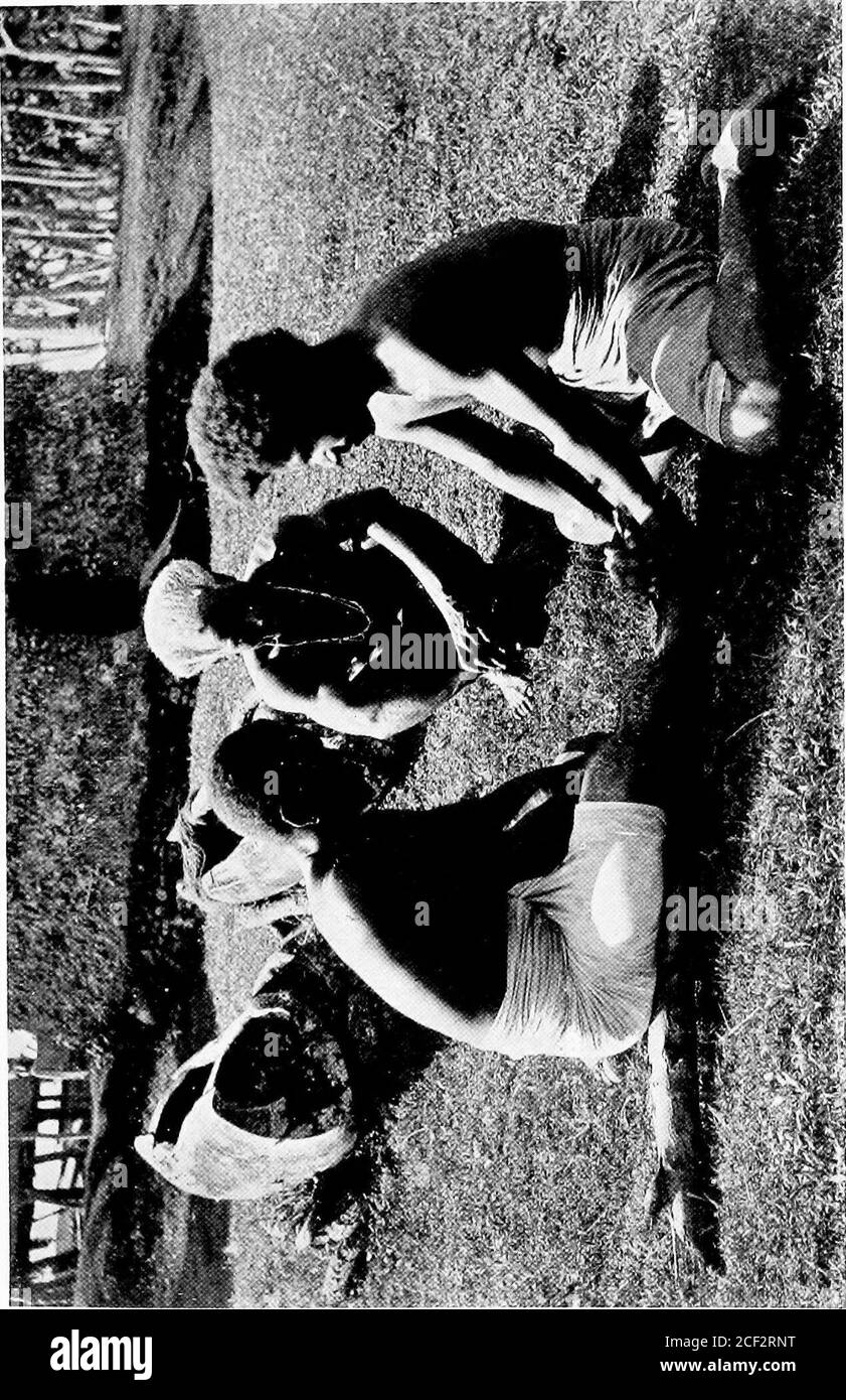 . Errance parmi les sauvages de la mer du Sud et à Bornéo et aux Philippines. , et que je pensais être ivre sur angona, dont iHad parpris la nuit précédente. Angona est thesame comme kava aux Samoa, et est la boisson nationale aux Fidji. Masirewa ne portait maintenant qu'un sulu et jeta son singulet. Je suppose que c'était un cas de Rome faire comme Rome, mais il a certainement semblé mieux dans la peau sombre qu'il portait à sa naissance. On m'a montré la grande rockby de la rivière où plus d'un millier de personnes avaient été kiUed pour leurs fêtes cannibales. Theywétaient habituellement des prisonniers capturés dans les Rewadistrict, aussi quelques hommes blancs. Banque D'Images