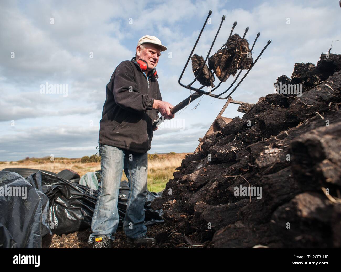 Comté de Kerry, Irlande - 10 mars 2015: Irish Man pelletage de briques de combustible de tourbière séchée sur une remorque en Irlande rurale Banque D'Images