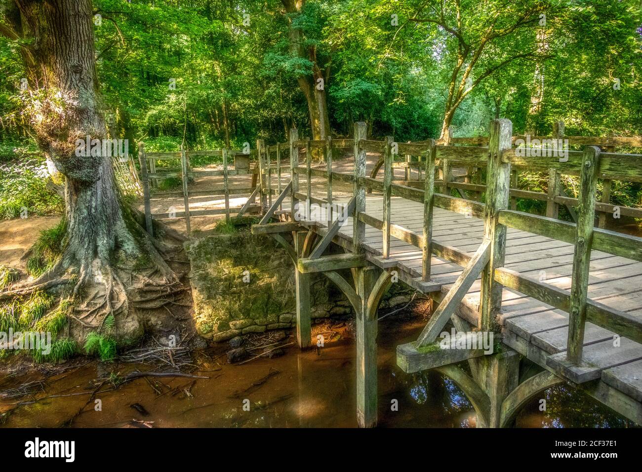 Pont Pooh dans la forêt d'Ashdown, East Sussex, Royaume-Uni Banque D'Images