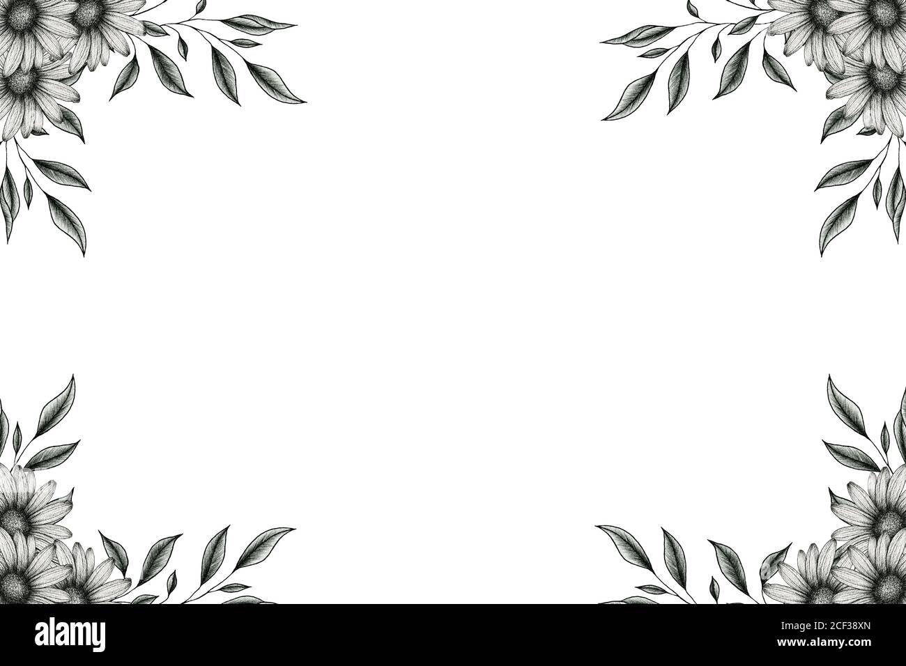 cadre floral vintage avec des décorations botaniques noir et blanc