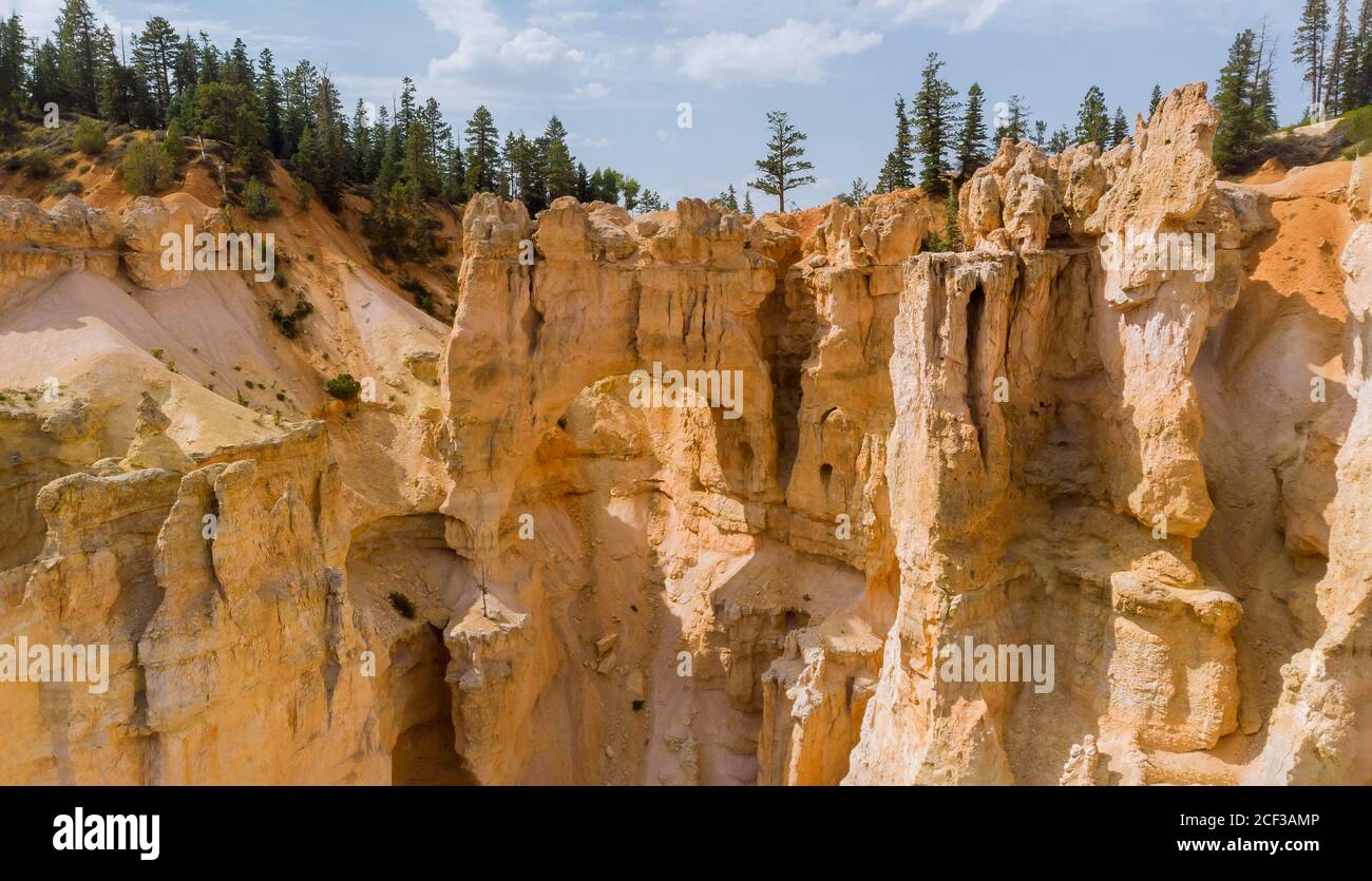 Magnifique paysage d'été dans la formation rocheuse des montagnes dans le parc national de Zion Canyon, Utah, États-Unis Banque D'Images