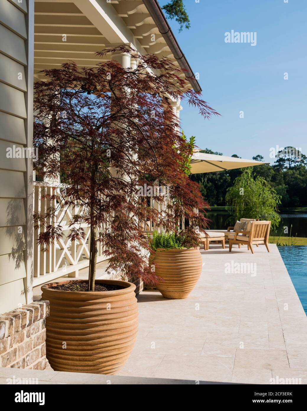 Plantes en pot sur le patio près de la piscine Banque D'Images