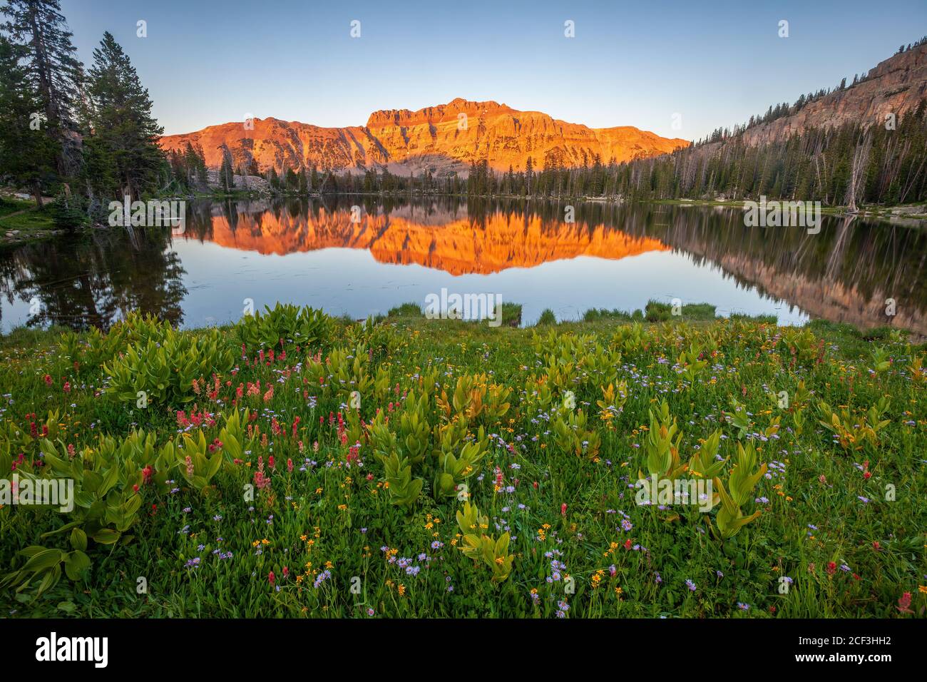 Lumière du soir, lac Ruth, forêt nationale de Wasatch-cache, montagnes Uinta, Utah Banque D'Images