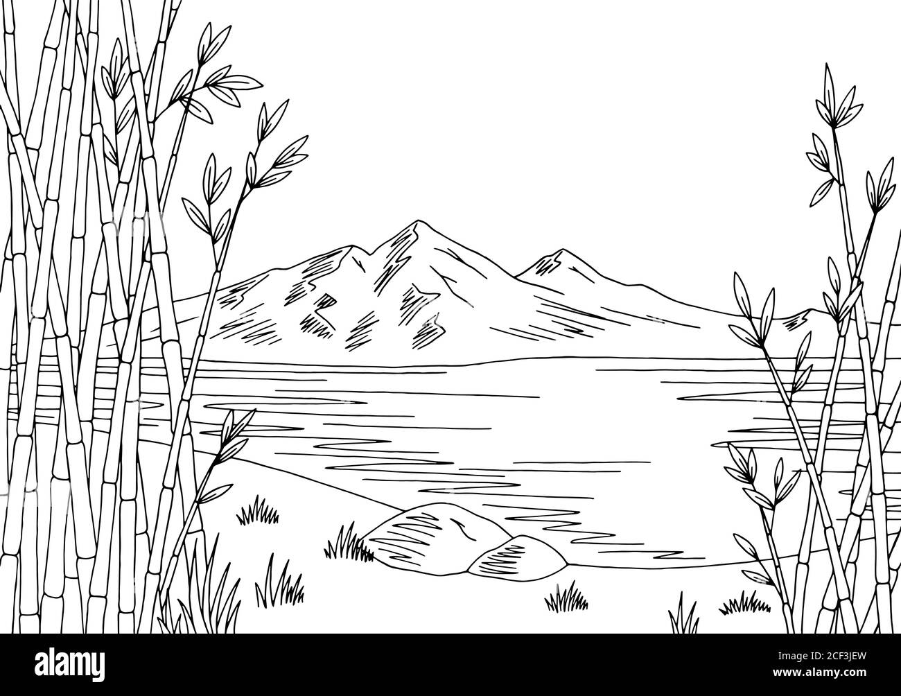 Bamboo Lake graphique noir blanc paysage dessin illustration vecteur Illustration de Vecteur