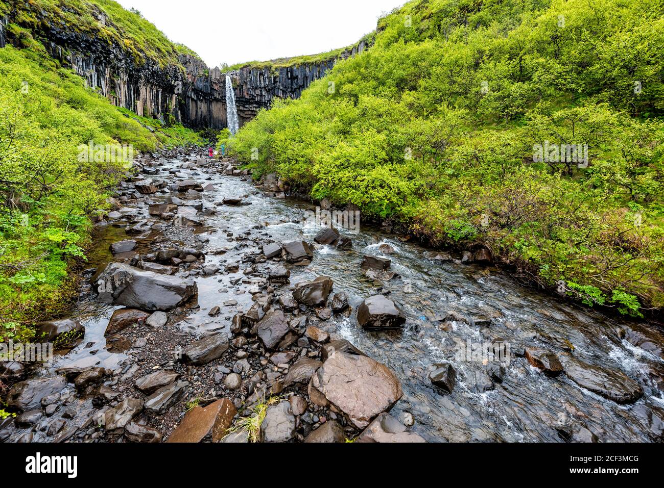 Svartifoss cascade paysage avec rivière large vue à l'angle bas Sentier dans le parc national de Skaftafell en Islande vue de la chute de l'eau hors de la falaise dans su vert Banque D'Images