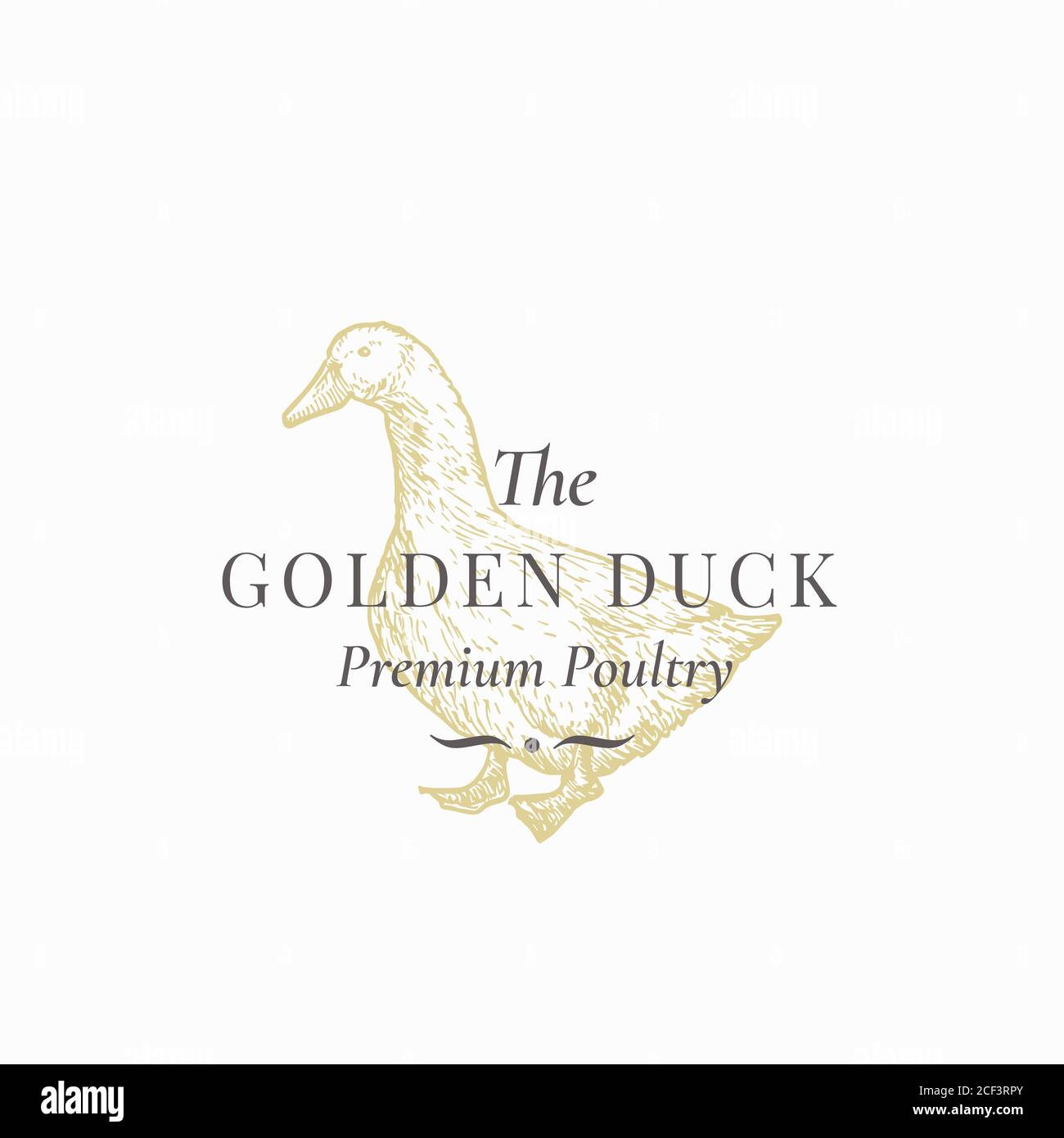 Le modèle de symbole, de logo ou de signe abstrait Golden Duck. Photographie d'oiseau domestique réalisée à la main avec Typographie rétro. Vecteur de luxe vintage Illustration de Vecteur