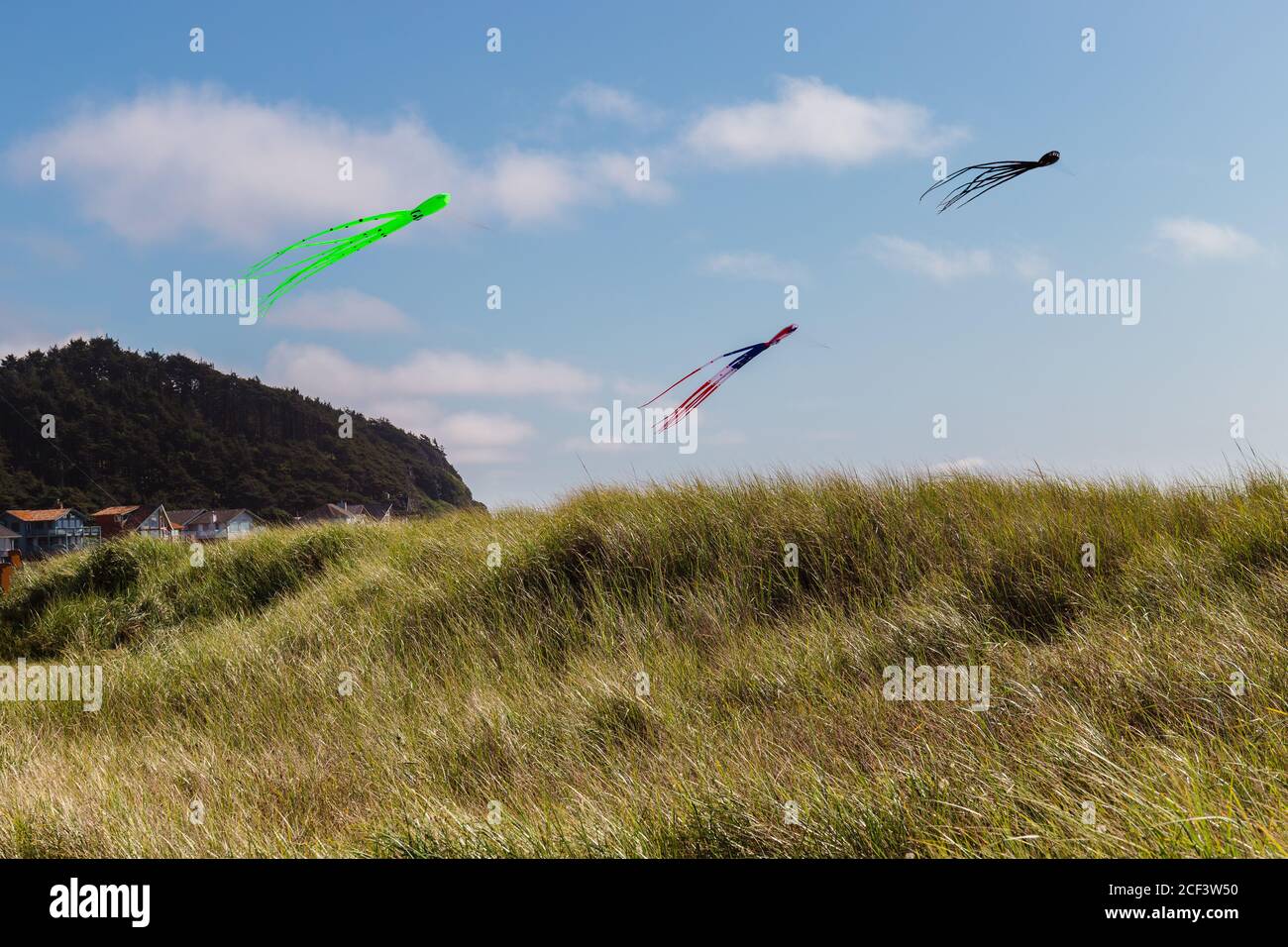 Trois cerfs-volants colorés Windsock survolant Grass Dunes au Ocean Beach Banque D'Images