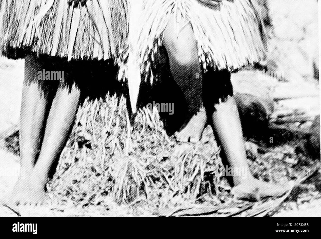 . Errance parmi les sauvages de la mer du Sud et à Bornéo et aux Philippines. -i;* i% ll|& v A » ??.?J fef ^ u 1 ?> ^^ *4 5- 4 rUvr J & lt;h ..*^, ». ^^^f^^f0^^^ Banque D'Images