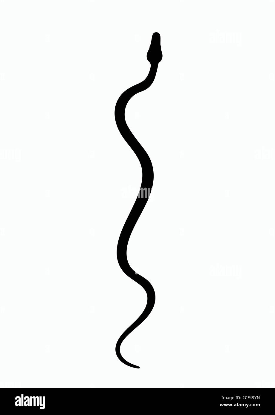 Serpent silhouette noir. Symbole isolé ou serpent d'icône sur fond blanc. Serpent de signe abstrait. Illustration vectorielle. Illustration de Vecteur