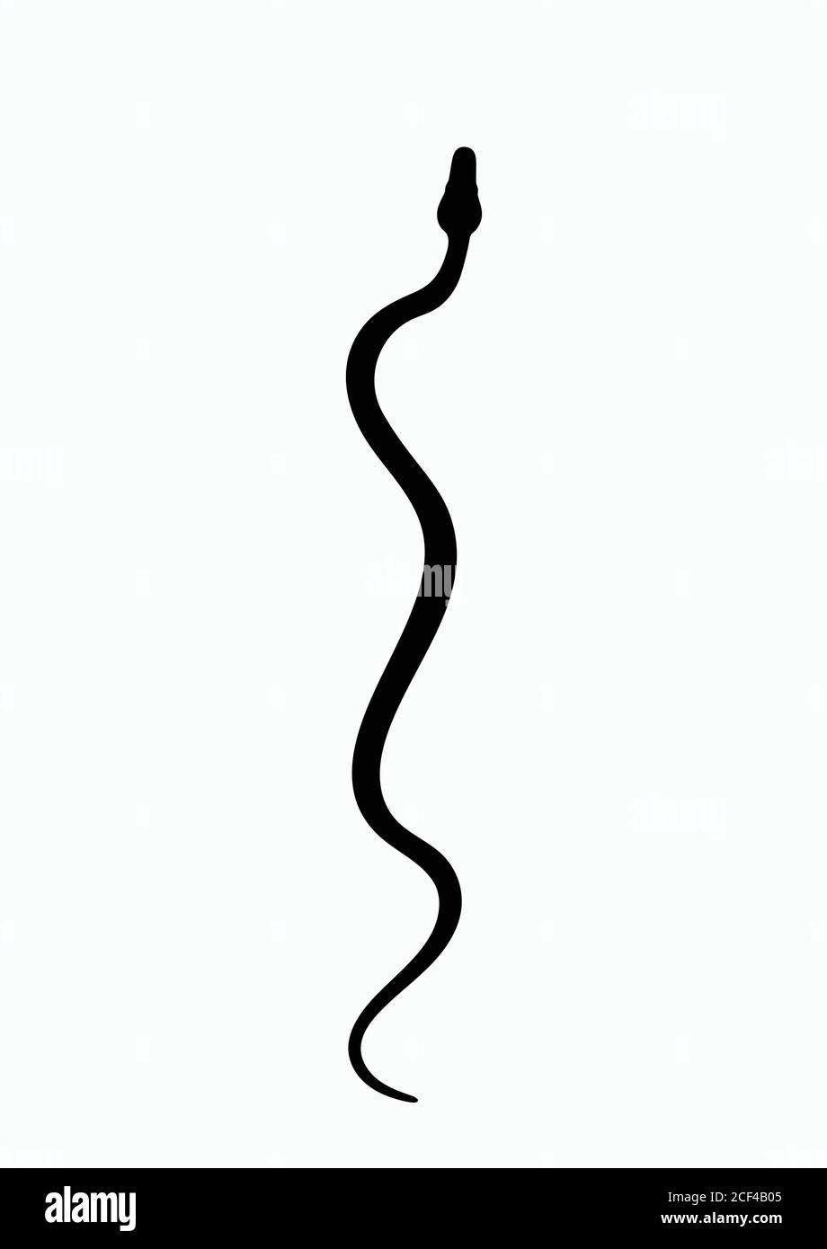 Serpent silhouette noir. Symbole isolé ou serpent d'icône sur fond blanc. Serpent de signe abstrait. Illustration vectorielle. Illustration de Vecteur