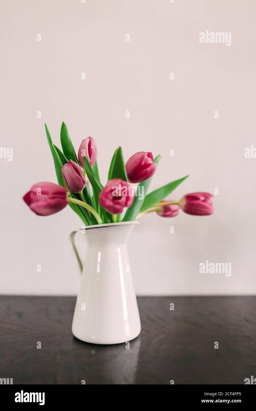 Tulipe rose dans un vase Banque D'Images