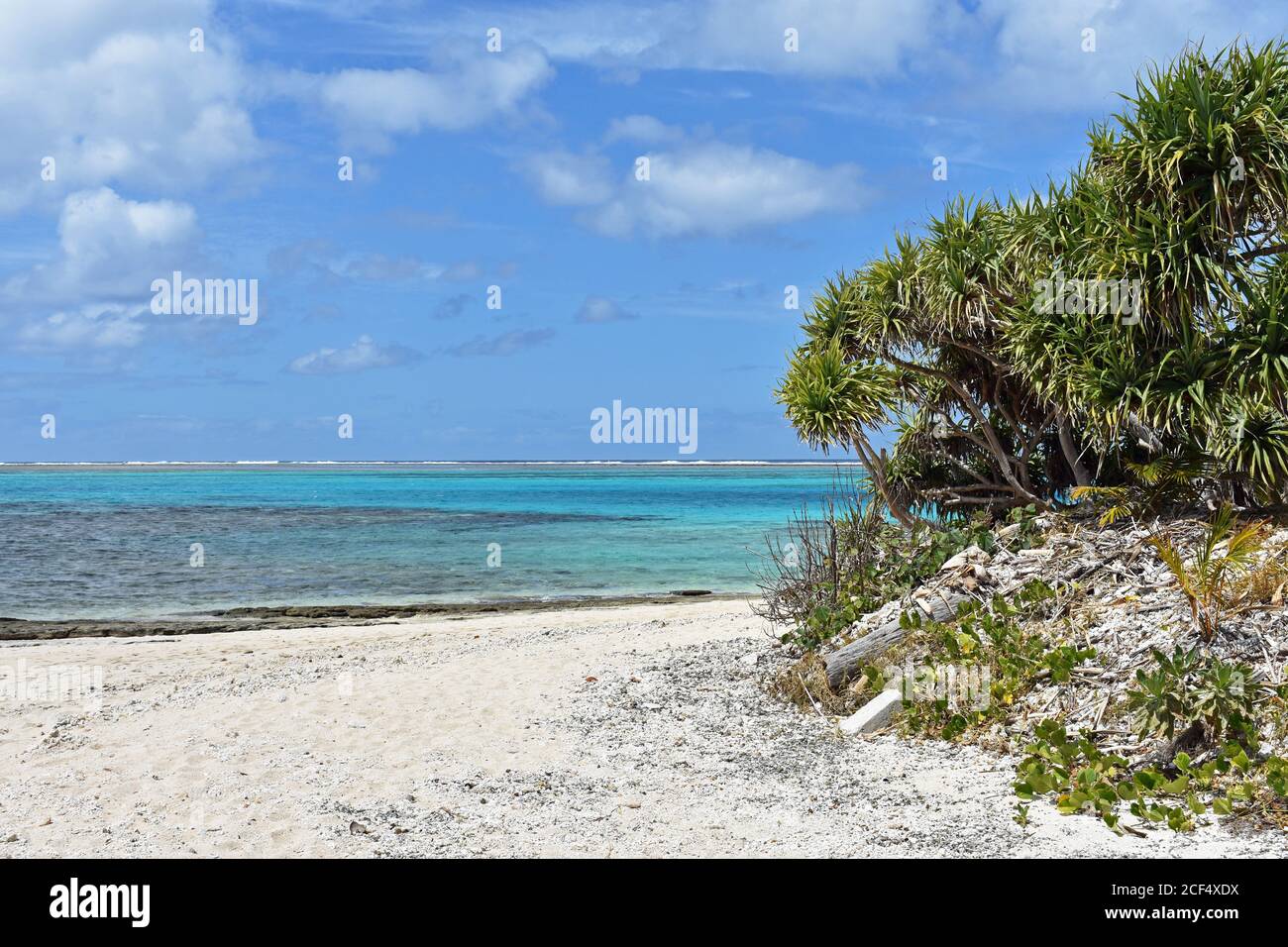 Une plage de sable blanc déserte avec un océan immaculé dans différentes nuances de bleu sur l'île Mystery, Vanuatu. Paradis tropical avec récifs coralliens et palmiers. Banque D'Images