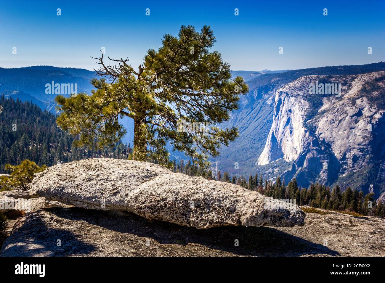 Vue depuis le Sentinel Dome jusqu'à El Capitan, parc national de Yosemite, Californie Banque D'Images