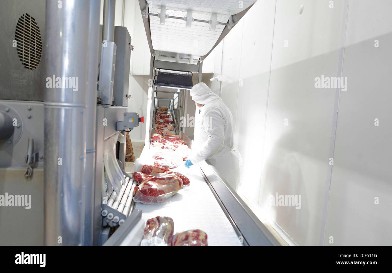 Buenos Aires, ville du sud de Mar del Plata, Argentine - 07 MAI 2015: Vue latérale des bouchers en uniforme blanc travaillant sur le tapis roulant emballant la viande en usine Banque D'Images