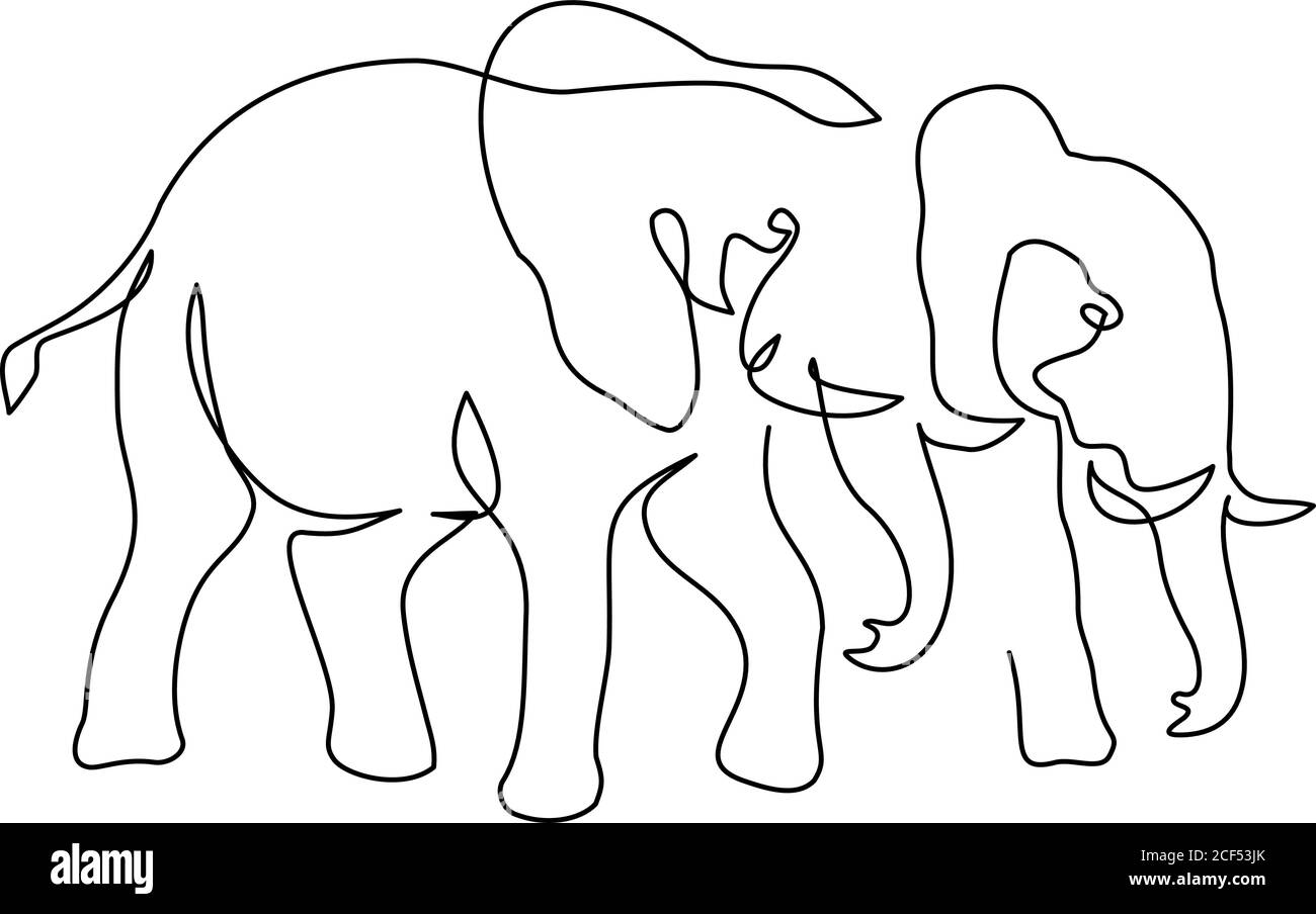 Couple éléphants marchant. Illustration vectorielle continue d'un dessin art sur une ligne isolée sur fond blanc. Illustration de Vecteur