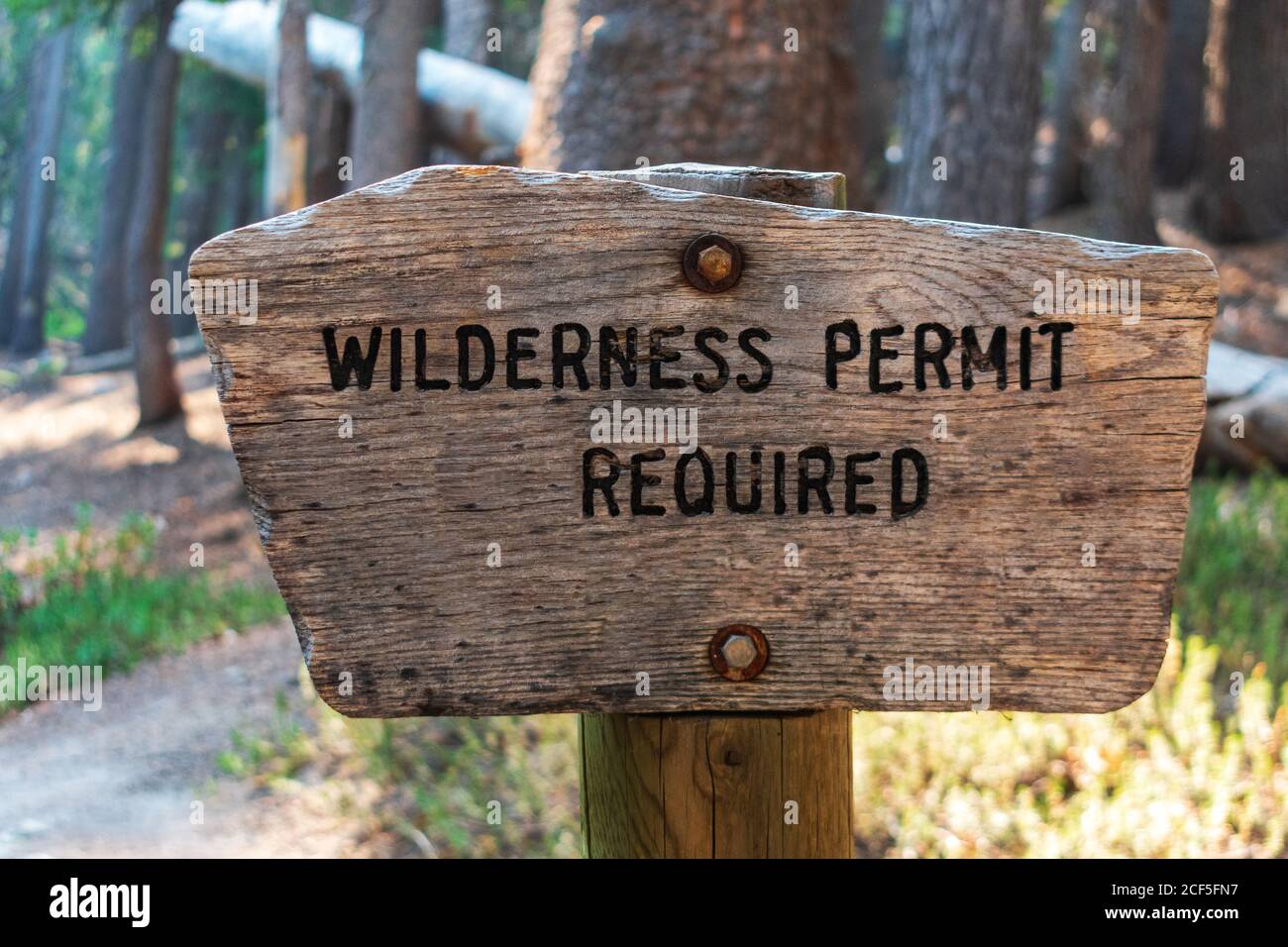 Permis de nature sauvage requis signe sur le poste en bois dans la forêt nationale. Banque D'Images
