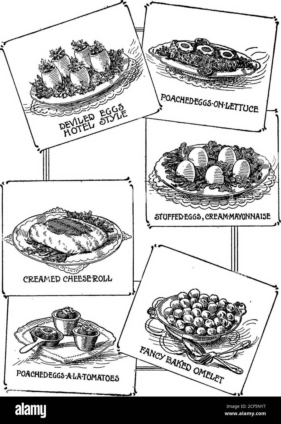 . Le livre de cuisine de la science domestique standard. Inutes. Verser dans un plat à pâtisserie, couvrir de chapelure, dotwith beurre et faire cuire au four chaud, de dix à cinquante minutes. Si bien cuit, le macaroni sera stringy. 771. MACARONI CRÉMEUX. Faire bouillir le % du paquet de macaroni jusqu'à ce qu'il soit tendre, dans un peu d'eau salée. Une fois terminé, égoutter et couper en longueurs de 2 pouces et mettre le plat d'inpudding; verser sur la sauce au beurre tiré, et couvrir le dessus avec des craquelins roulés, et cuire pendant une demi-heure. 772. MACARONI ET BACON. Un plat de petit-déjeuner. Faire cuire 4 ozs. De macaroni, en morceaux, cinq minutes dans un traîneau à eau bouillante Banque D'Images