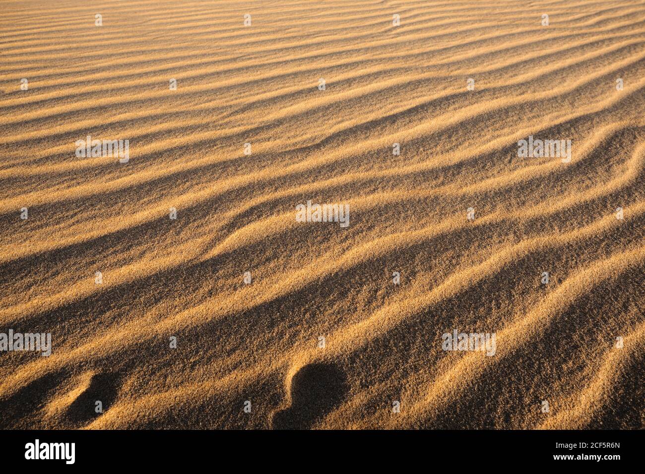 Paysage pittoresque d'une plage de sable ondulée texturée de la côte éloignée à Tarifa, en Espagne Banque D'Images