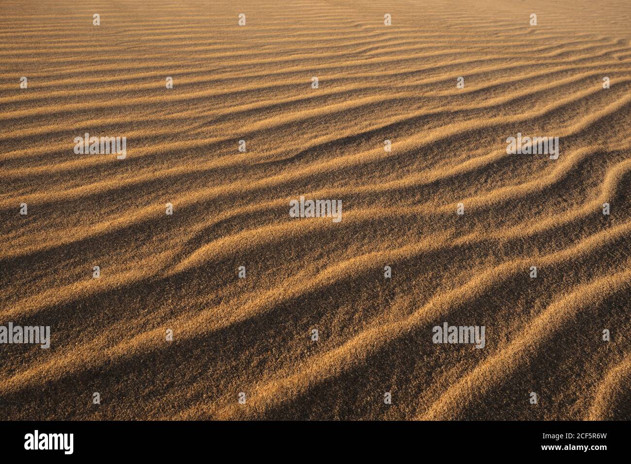Paysage pittoresque d'une plage de sable ondulée texturée de la côte éloignée à Tarifa, en Espagne Banque D'Images