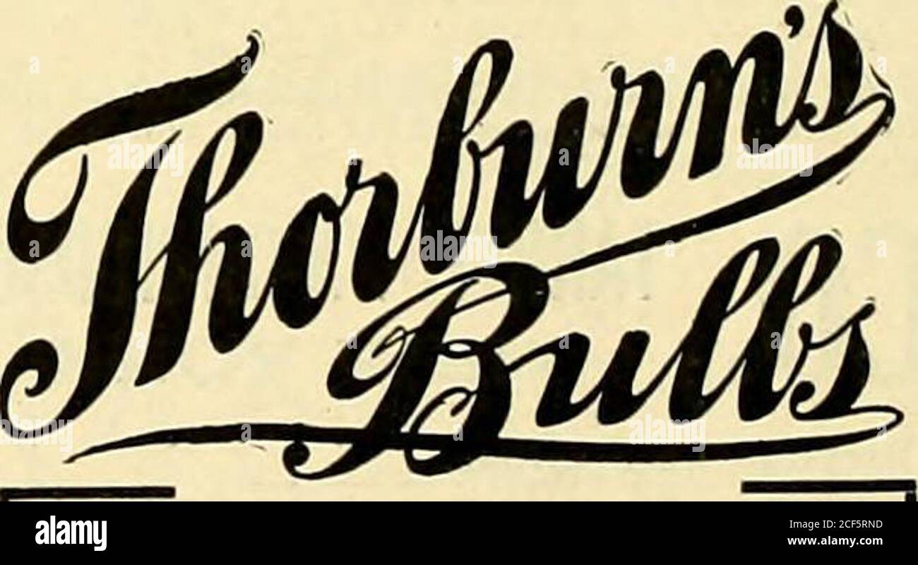 . L'échange des Floristes : un moyen hebdomadaire d'échange pour les fleuristes, les nourriciers, les planteurs et le commerce en général. WEEBER & DON, chambre ZtfeSSST* 114. Strict. NKW VOHK NOUVELLE RÉCOLTE POIS DOUX ENVOYER POUR. LISTE DES NOUVELLES VARIÉTÉS À FLEURS GÉANTES STUMPP $ WALTER CO., 50 *£&£***  ^ mentionner le Florists Exchange lors de l'écriture. PAPIER D'EXPÉDITION BELATED BLANC NARCISSE choix, son, 13-15 cm. Bulbes, 1300 au cas, à 7.00 $ le M. dans full.case lots seulement; en moins de la quantité à 8.00 $ le M. & lt; $FCAE et semences $fore 219 rue Market* Philadelphie. Mentionnez l'écriture Tin* rinpoignets kmh;ini:e mIuti. SUR LE S. A. Banque D'Images