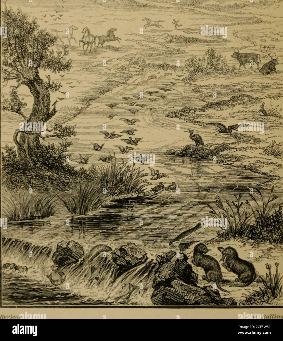 . Locomotion animale ou marche, natation et vol : avec une thèse sur l'aëronautics. ll trouvent à leur avantage d'étudier ses con-tentes.—court Express. Un livre complet verv. Chaque page contient des informations. Readableenlong.—Héraut d'église. ESPRIT ET CORPS : les théories de leurs relations. Par Alexander bain, LL.D., professeur de logique à l'Université d'Aberdeen. Quatre illustrations.deuxième édition. 4s. L'ÉTUDE OP SOCIOLOGIE. Par Herbert Spencer. Couronne 8vo. Deuxième édition. Prix 5s. SUR L'ÉNERGIE OP DE CONSERVATION. Par le Professeur Balfour StegartFourteen gravures. Prix 5s Banque D'Images