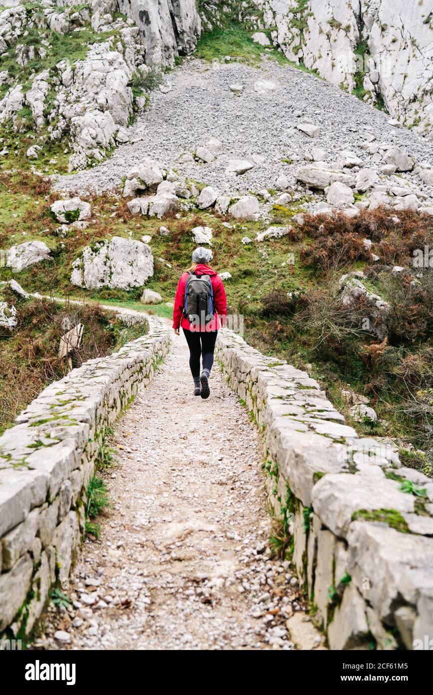 Vue arrière d'une femme méconnue randonneur en veste rouge avec sac à dos marchant en montagne sur un chemin de clôture en pierre dans les sommets de l'Europe, Asturies, Espagne Banque D'Images