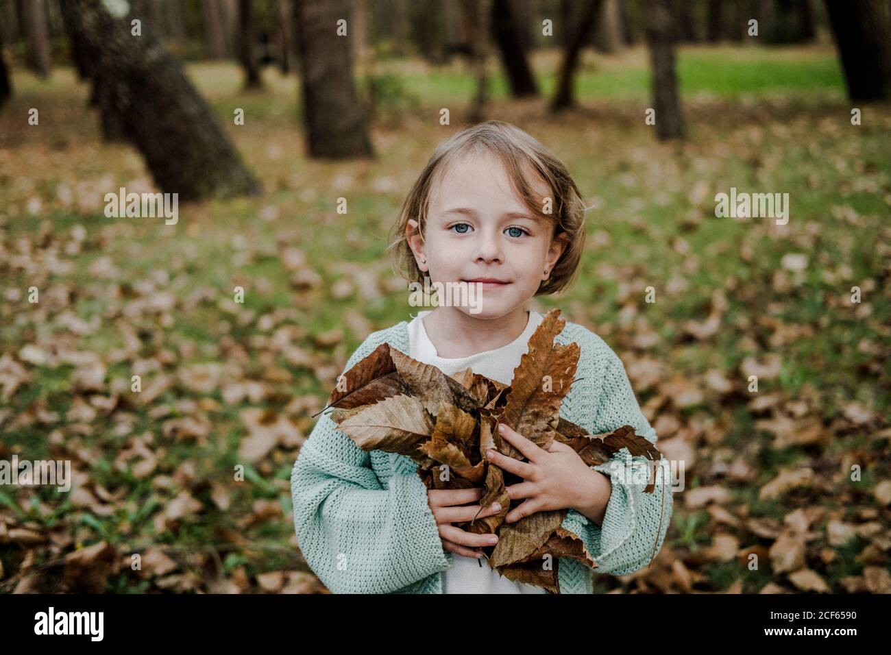 Enfant drôle regardant la caméra et tenant tas de sec feuillage au sol dans le parc sur fond flou Banque D'Images