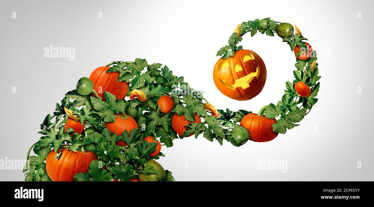 Halloween Happy Pumpkin feuilles comme un automne fêtes Jack o lanterne élément décoratif tourbillon avec une vigne pleine de citrouilles. Banque D'Images