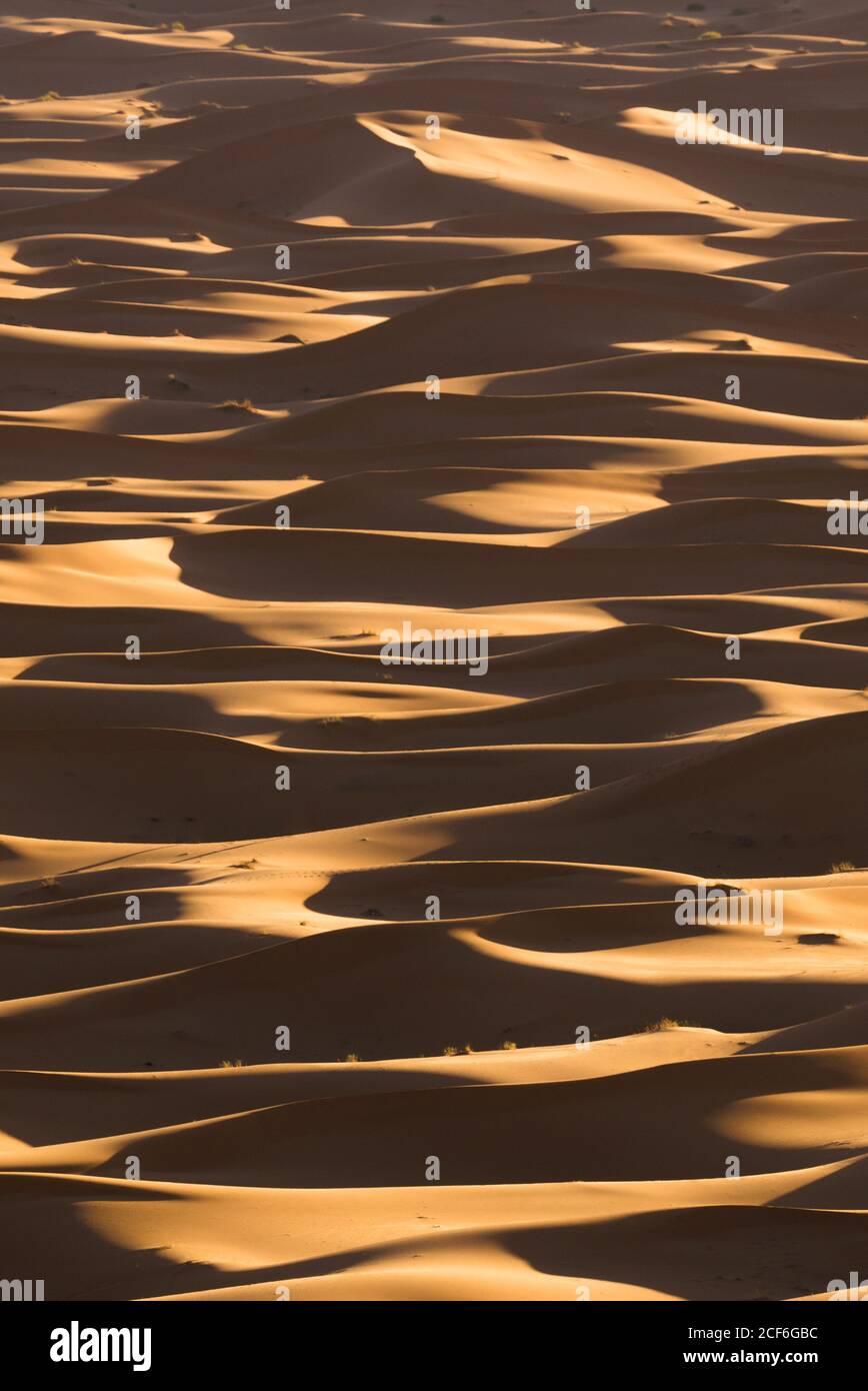 Paysage désertique minimaliste avec dunes de sable au Maroc Banque D'Images